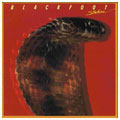 Blackfoot